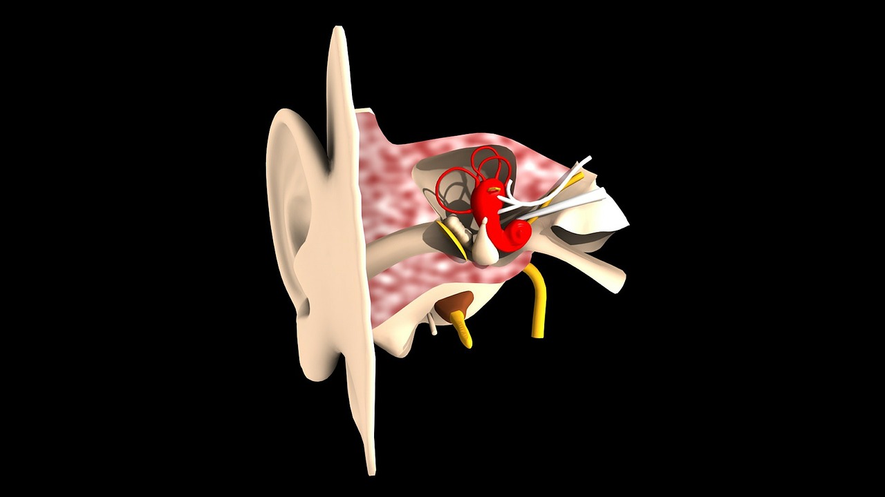 Kulak Zarı Ameliyatı -  Timpanoplasti
